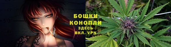 прущие грибы Володарск