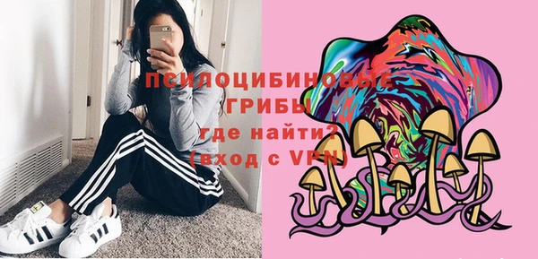 прущие грибы Володарск