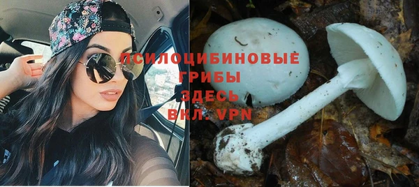 твердый Волосово