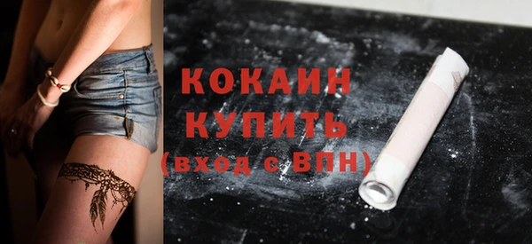 прущие грибы Володарск