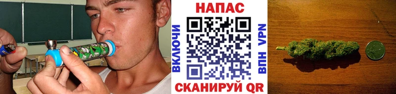 Бошки Шишки конопля  Купить где  Катайск 